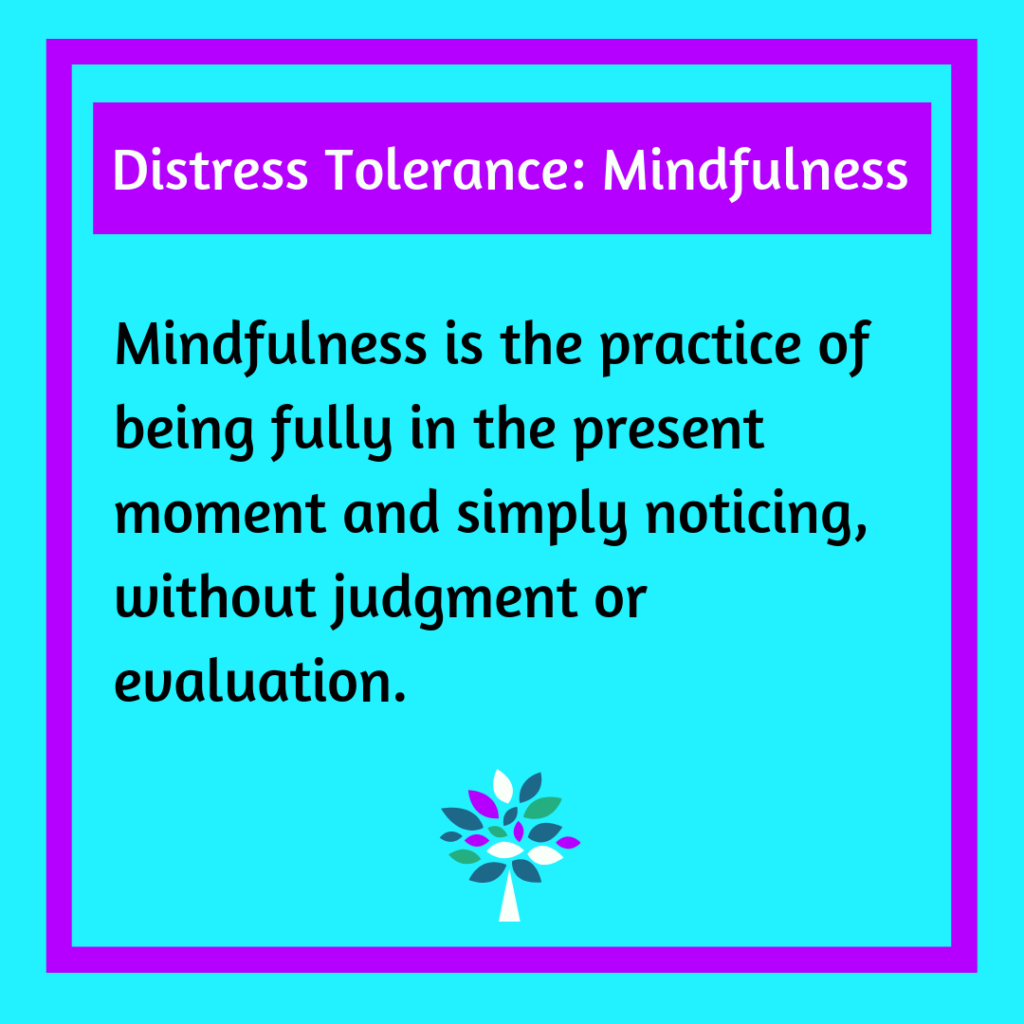 Distress Tolerance: Mindfulness - Colette Lord PhD