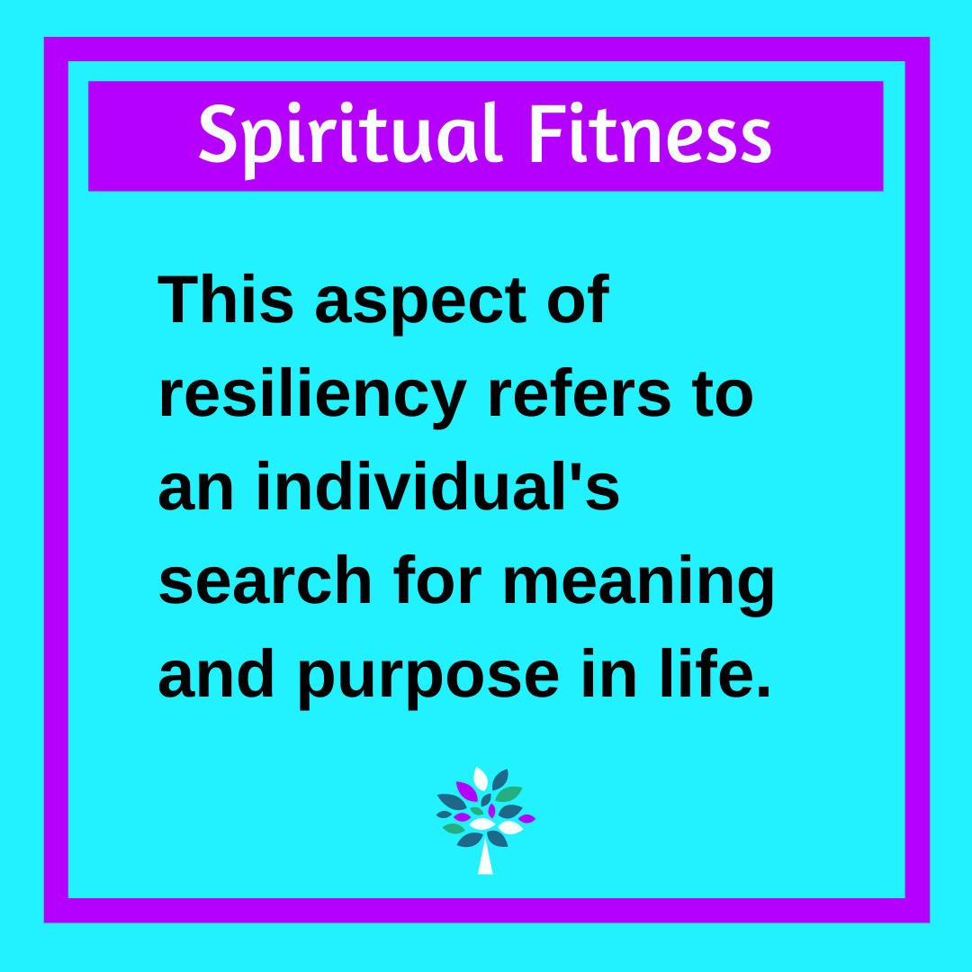 SPIRITUAL FITNESS LDS visual data 6