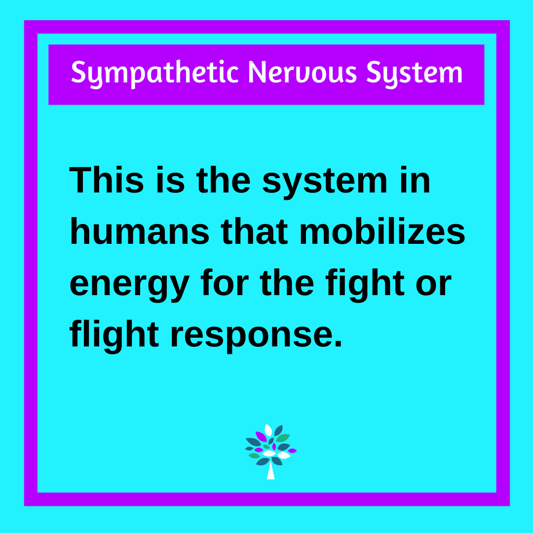 sympathetic nervous system function examples