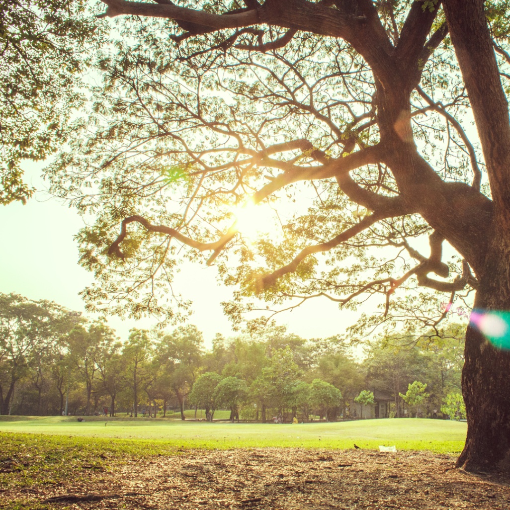 EMDR Therapy 
